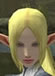Hairstyles, Elf Female, Style G.jpg