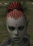Hair Colors, Female Orc Mystic, Style C.jpg