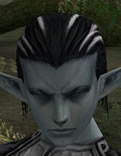 Hair Colors, Male Dark Elf, Style D.jpg