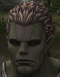 Hair Colors, Male Orc Fighter, Style C.jpg