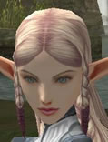 Hair Colors, Female Elf, Style C.jpg