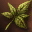Tama poisonous plant 0.jpg