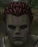 Hair Colors, Male Orc Fighter, Style B.jpg