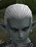 Hair Colors, Male Dark Elf, Style B.jpg