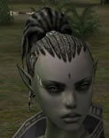 Hair Colors, Female Orc Mystic, Style D.jpg