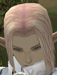 Hair Colors, Male Elf, Style C.jpg