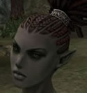 Hair Colors, Female Orc Fighter, Style D.jpg
