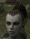 Hair Colors, Female Orc Mystic, Style A.jpg