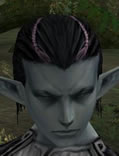 Hair Colors, Male Dark Elf, Style C.jpg