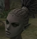  Hair_Colors%2C_Female_Orc_Fighter%2C_Style_C
