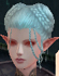 Hairstyles, Female Kamael, Style B.jpg