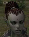 Hair Colors, Female Orc Mystic, Style B.jpg