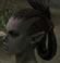 Hairstyles, Orc Female Fighter, Style B.jpg
