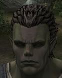 Hair Colors, Male Orc Fighter, Style A.jpg