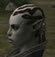 Hairstyles, Orc Female Mystic, Style D.jpg