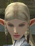Hair Colors, Female Elf, Style B.jpg